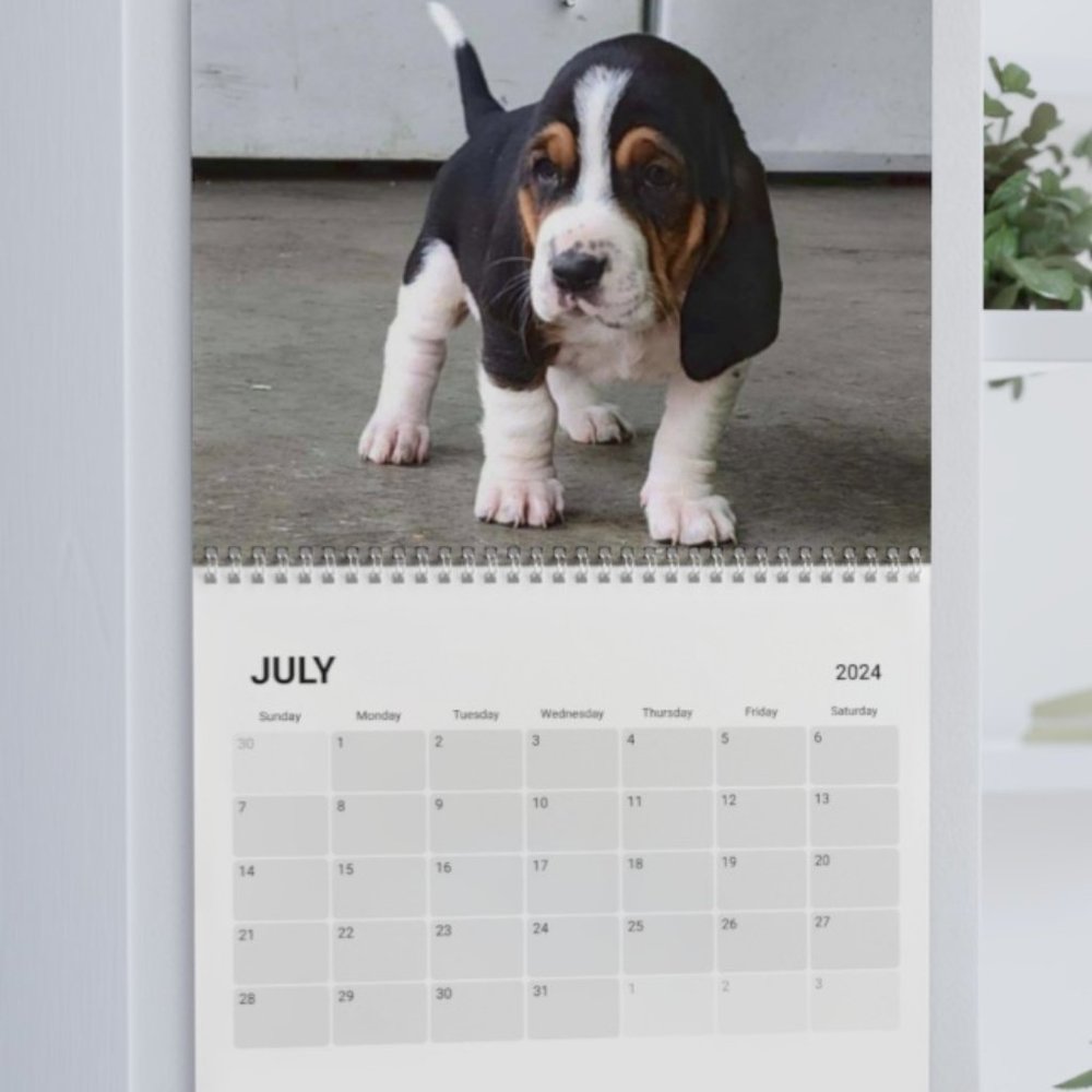 High Five Paws "Puppy Love" Calendar 2024 (Yellow)